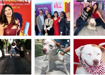 למה אנחנו כל כך אוהבים את אלכסנדרה דדריו