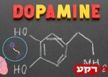 דופמין - העלאת דופמין באופן טבעי